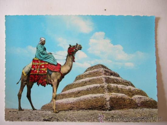 Postales: POSTAL  SAKKARA. EGIPTO - EGYTE - Foto 1