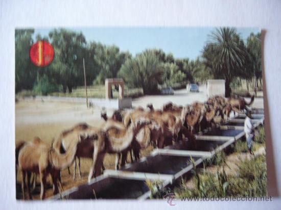 Postales: POSTAL MARRUECOS - MOROCCO. - Foto 1