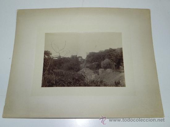 Postales: Antigua fotografia albumina de Angola, Old photograph albumen of Angola, mide 30 x 21,5 cms.