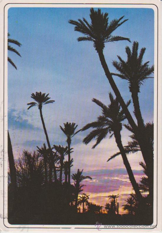 Postales: MARRAKECH . PUESTA DE SOL - Foto 1