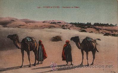 Postkarten: E208 ARGELIA SCENES ET TYPES CHAMEAUX AU DESERT