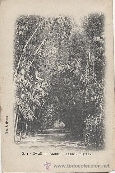 Postkarten: E197 ARGELIA ARGEL ALGER JARDIN D' ESSAI PRECURSOR ANTES DE 1904