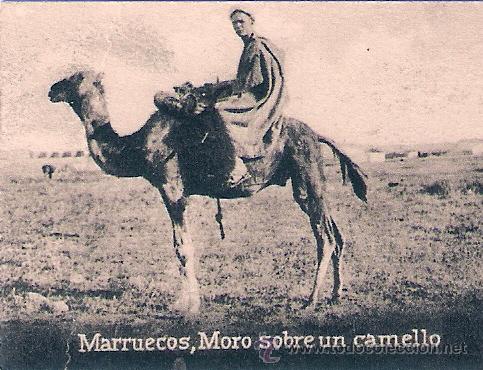 Postais: POSTAL ORIGINAL DECADA DE LOS 30. MARRUECOS. N&ordm; 1481. VER TAMA&Ntilde;O Y EXPLICACION.