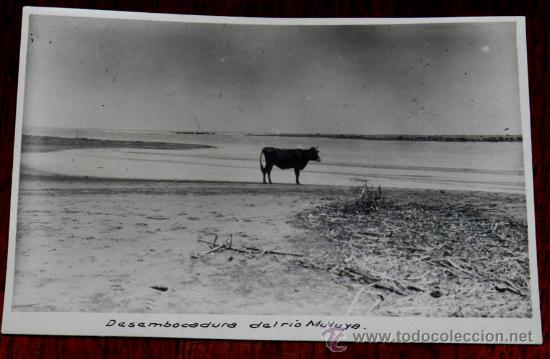 Postkarten: ANTIGUA FOTOGRAFIA DE LA DESEMBOCADURA DEL RIO MULUYA (ULAD EMBARET) MARRUECOS, EN 1920 APROXIMADAME