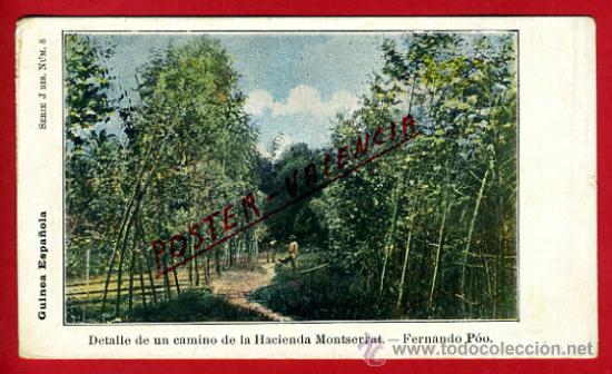 Postcards: POSTAL GUINEA, DETALLE DE UN CAMINO DE LA HACIENDA MONTSERRAT,   P72540