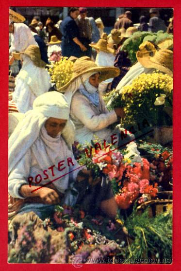 Postkarten: POSTAL TANGER, MARRUECOS, MARCHE AUX FLEURS,   P72555