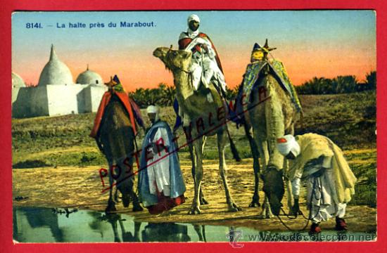 Postkarten: POSTAL MARRUECOS, LE HALTE PRES DU MARABOUT,   P72594