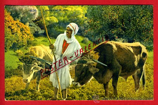 Postkarten: POSTAL MARRUECOS, LABOUREUR ARABE,   P72598