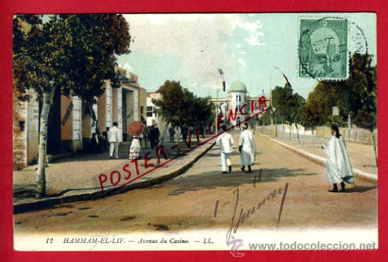 Postkarten: POSTAL HAMMAN-EL-LIF, AVENIDA DEL CASINO,   P72618