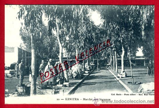 Postcards: POSTAL KENITRA, MARRUECOS, MARCHE AUX LEGUMES,   P72674