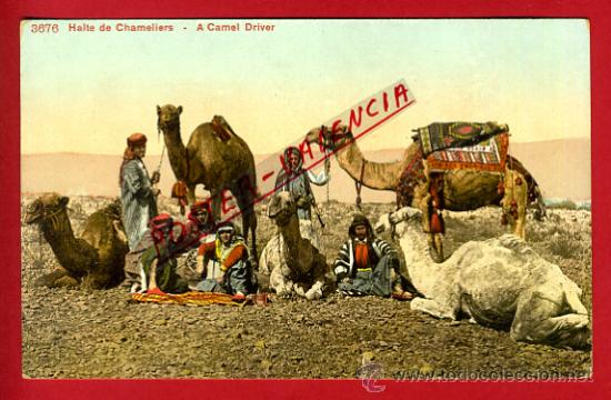 Postkarten: POSTAL MARRUECOS, HALTE DE CHAMELIERS, A CAMEL DRIVER,   P72792
