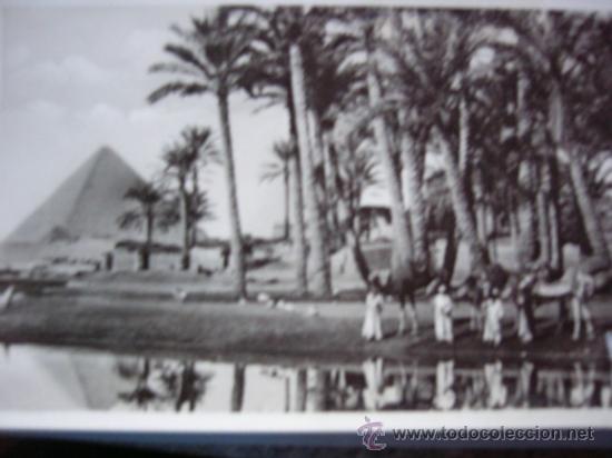 Postales: POSTAL- POSTCARD. EL CAIRO. ESCRITA - Foto 1