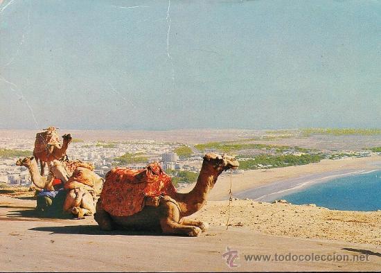 Cartes Postales: marruecos - agadir - vista panoramica y camellos - circulada - a&ntilde;os 70