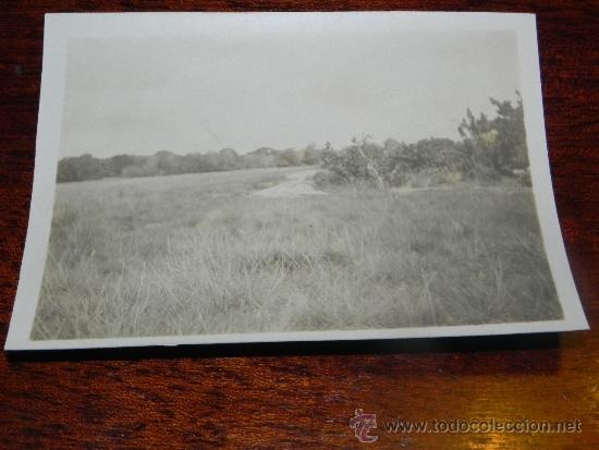 Postcards: ANTIGUA FOTOGRAFIA DE GUINEA ECUATORIAL, COLONIA ESPA&Ntilde;OLA, MIDE 10,5 X 7,5 CMS.
