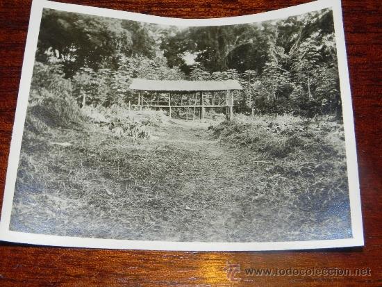 Postais: ANTIGUA FOTOGRAFIA DE GUINEA ECUATORIAL, COLONIA ESPA&Ntilde;OLA, MIDE 10,5 X 7,5 CMS.