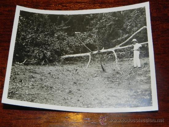 Postais: ANTIGUA FOTOGRAFIA DE GUINEA ECUATORIAL, COLONIA ESPA&Ntilde;OLA, MIDE 10,5 X 7,5 CMS.