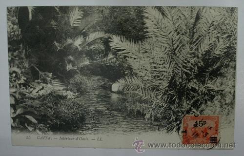 Postales: Antigua postal. GAFSA - Interiur dOasis - Foto 1