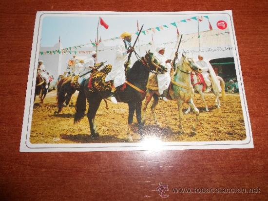 Postcards: POSTAL DE MARRUECOS, CABALLER&Iacute;A