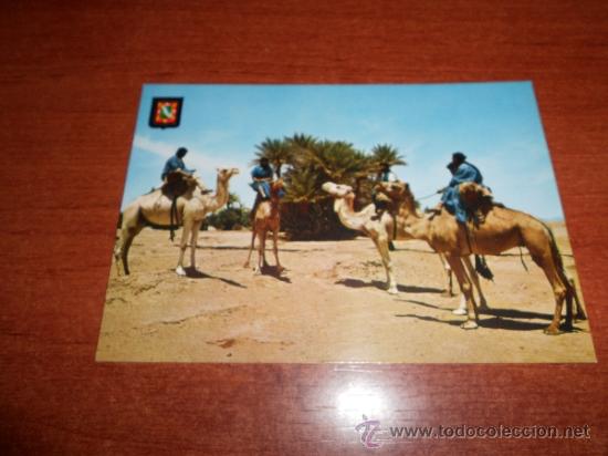 Postcards: POSTAL DEL SAHARA - POSTAL DEL SAHARA