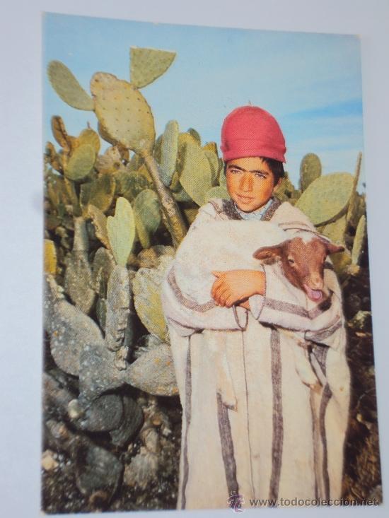 Cartes Postales: Moyen-Atlas