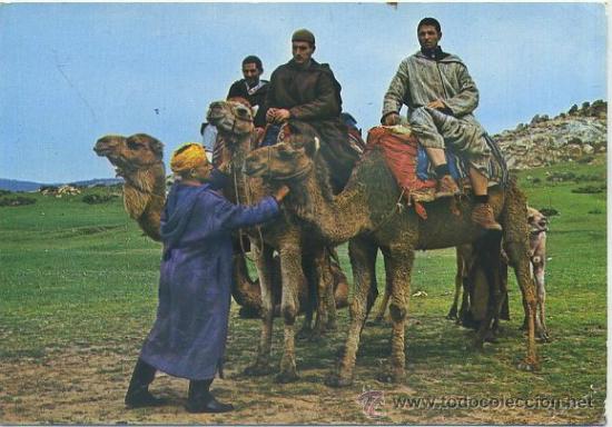 Postais: POSTAL DE MARRUECOS. CAMELLEROS N&ordm; 115    P-AFyMA-488