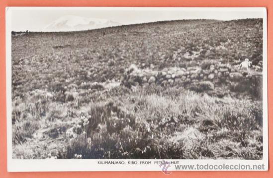 Postales: tanzania - kilimanjaro, kibo from peters hut - ed. inglesa - nueva - a&ntilde;os 50 / 60