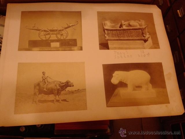 Postales: Lote de 4 fotografias 9,50 x 13 cm. Piezas arqueol&oacute;gicas, Sacofago, etc y tipo popular. Egipto