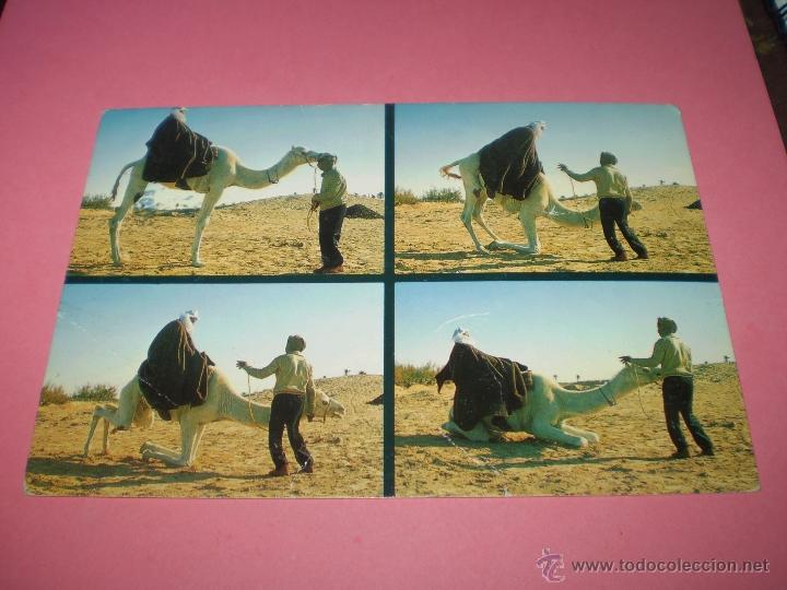 Postales: TUNEZ - Foto 1