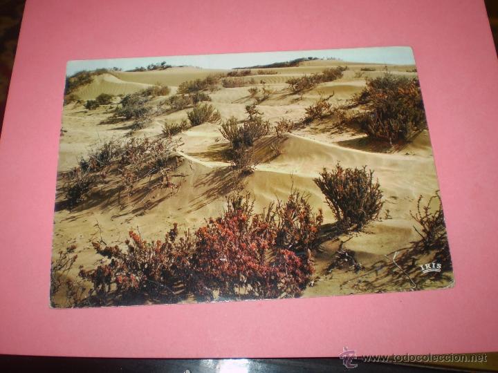 Postales: SAHARA ESPA&Ntilde;OL - Foto 1