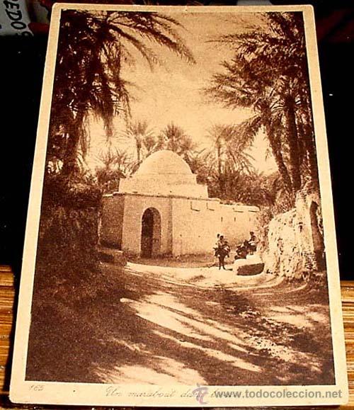 Cartes Postales: ANTIGUA  POSTAL DE MARRUECOS - VISTA PARCIAL DE UN OASIS - ED.EDITEURS - NO CIRCULADA.