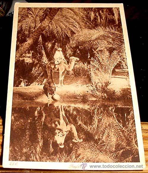 Cartes Postales: ANTIGUA  POSTAL DE MARRUECOS - OASIS - REFLEJO EN EL AGUA - ED.L.L - NO CIRCULADA.