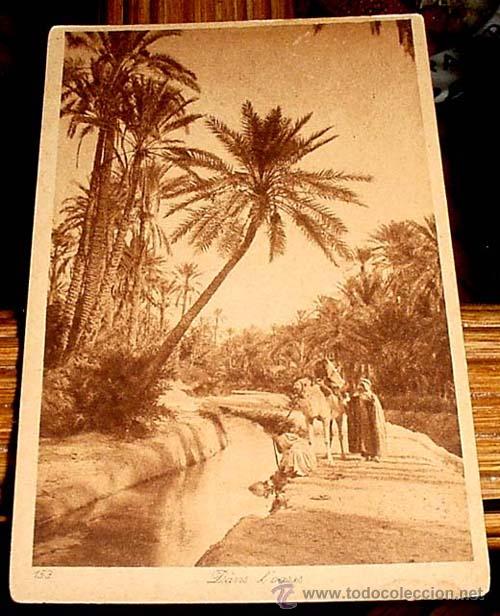 Cartes Postales: ANTIGUA  POSTAL DE MARRUECOS - ARROYO Y VISTA PARCIAL DE UN OASIS -  ED.L.L - NO CIRCULADA.