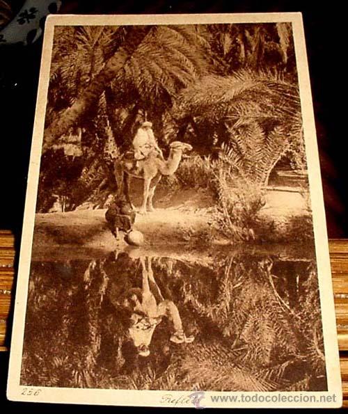 Cartes Postales: ANTIGUA  POSTAL DE MARRUECOS - VISTA PARCIAL OASIS - REFLEJO - ED.L.L - NO CIRCULADA.