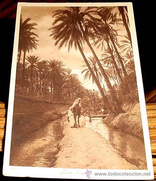 Cartes Postales: ANTIGUA  POSTAL DE MARRUECOS - VISTA PARCIAL OASIS - REFLEJO - ED.L.L - NO CIRCULADA.