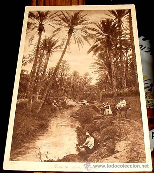 Cartes Postales: ANTIGUA  POSTAL DE MARRUECOS - VISTA PARCIAL OASIS - REFLEJO - ED.L.L - NO CIRCULADA.