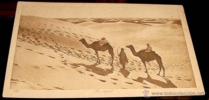 Cartes Postales: ANTIGUA POSTAL DE MARRUECOS - ARABES EN EL DESIERTO - ED.L.L - NO CIRCULADA.
