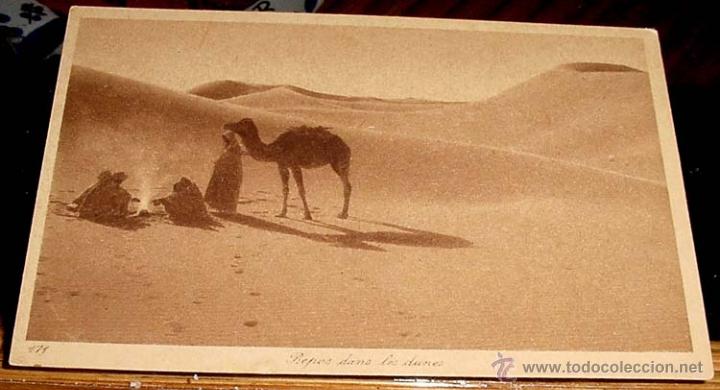 Postais: ANTIGUA POSTAL DE MARRUECOS - ARABES HACIENDO UNA PARADA EN LAS DUNAS - ED.L.L - NO CIRCULADA.
