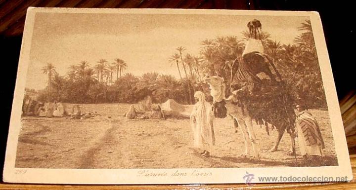 Postais: ANTIGUA POSTAL DE MARRUECOS - LLEGADA A UN OASIS - ED.L.L - NO CIRCULADA.