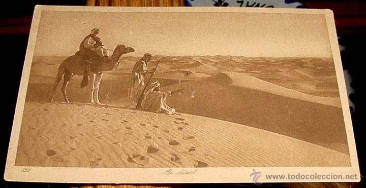 Postais: ANTIGUA POSTAL DE MARRUECOS - ARABES EN EL DESIERTO - ED.L.L - NO CIRCULADA.