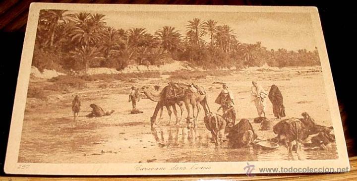Postais: ANTIGUA POSTAL DE MARRUECOS - CARAVANA EN OASIS - ED.L.L - NO CIRCULADA.