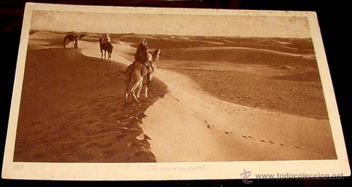 Postais: ANTIGUA POSTAL DE MARRUECOS - ARABES EN EL CALUROSO DESIERTO - ED.L.L - NO CIRCULADA.