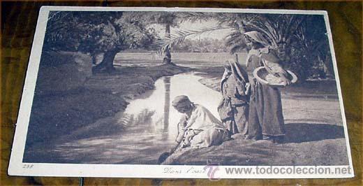 Cartoline: ANTIGUA POSTAL DE MARRUECOS - DANS OASIS - SIN CIRCULAR - DIVIDIDA - EDITEURS L&amp;L