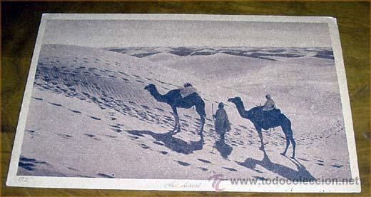 Cartoline: ANTIGUA POSTAL DE MARRUECOS - AU DESERT- SIN CIRCULAR - DIVIDIDA - EDITEURS L&amp;L