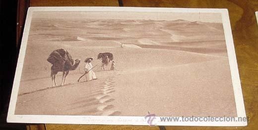 Cartoline: ANTIGUA POSTAL DE MARRUECOS - VOYAGE UN HAREM A TRAVERS LE DESERT- SIN CIRCULAR - DIVIDIDA - EDITEUR