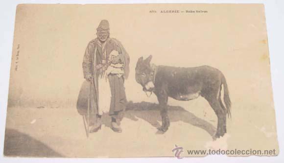 Cartoline: ANTIGUA POSTAL DE CAIRO - PIRAMIDES - ED. LEHNERT Y LANDROCK.