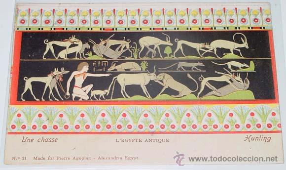 Cartoline: ANTIGUA POSTAL DE EGIPTO - CAZANDO - CIRCULADA - SIN DIVIDIR.