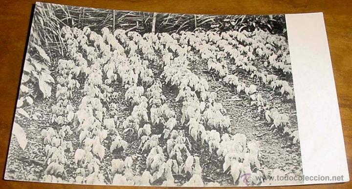 Postais: ANTIGUA POSTAL DE  GUINEA ECUATORIAL ESPA&Ntilde;OLA - MISIONES DE GUINEA ESPA&Ntilde;OLA - PROPAGANDA DE EL MISIO