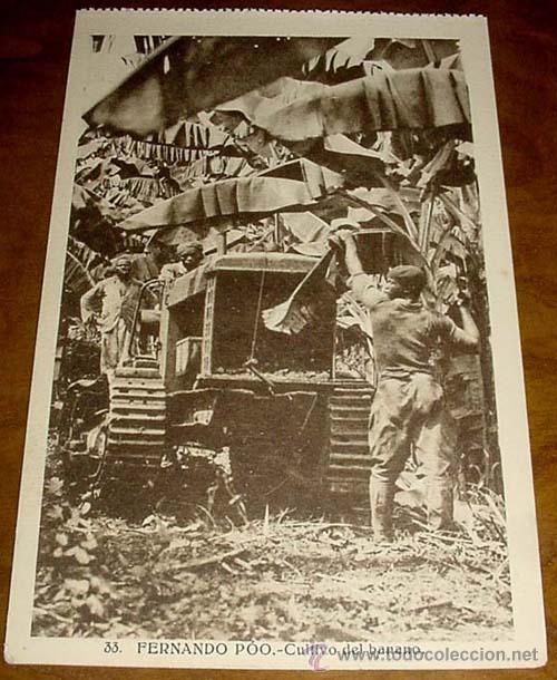 Cartoline: ANTIGUA POSTAL DE FERNADO POO - CULTIVO DEL BANANO - NO CIRCULADA - ED. HELITIOPIA ARTISTICA ESPA&Ntilde;OL