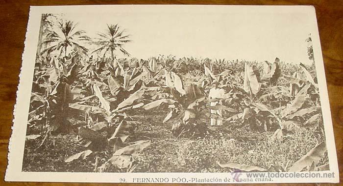 Cartoline: ANTIGUA POSTAL DE FERNADO POO - PLANTACION DE BANANA ENANA - NO CIRCULADA - ED. HELITIOPIA ARTISTICA