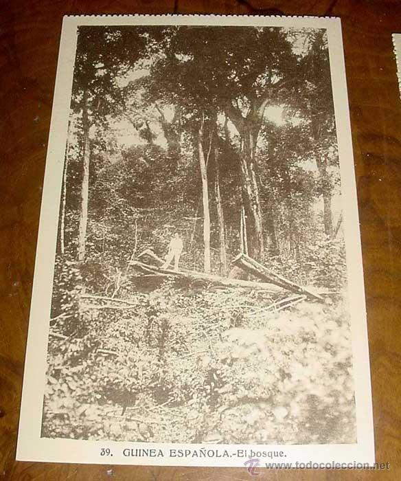 Cartoline: ANTIGUA POSTAL DE GUINEA ECUATORIAL ESPA&Ntilde;OLA - EL BOSQUE HAE - SIN CIRCULAR